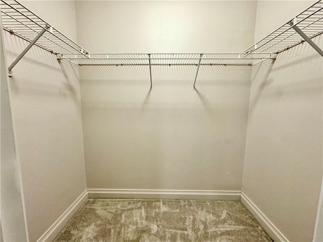 spacious closet with carpet flooring