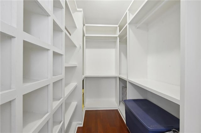 walk in closet featuring dark wood-style flooring