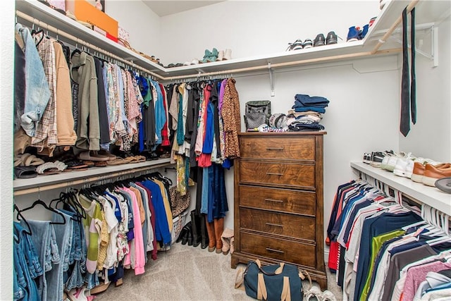 walk in closet featuring carpet flooring