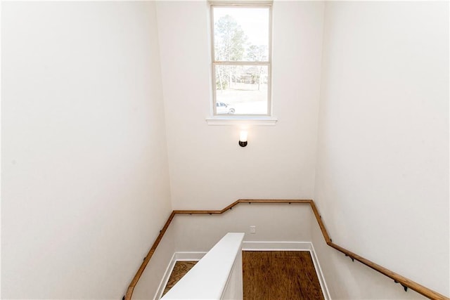 laundry room with baseboards and wood finished floors