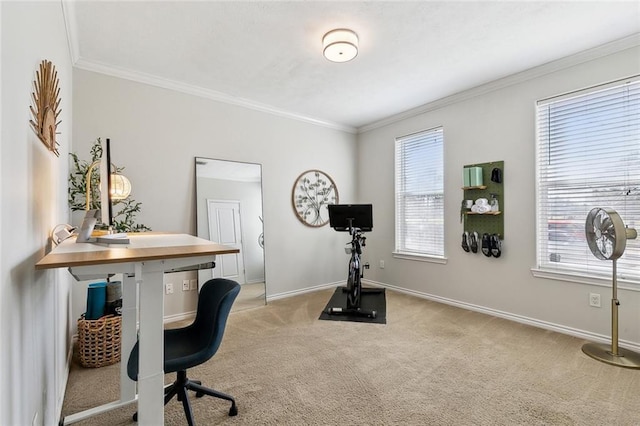 office space with baseboards, carpet, and ornamental molding