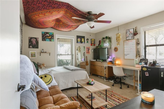 bedroom with multiple windows and carpet floors