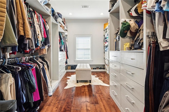 spacious closet featuring visible vents and dark wood-style flooring