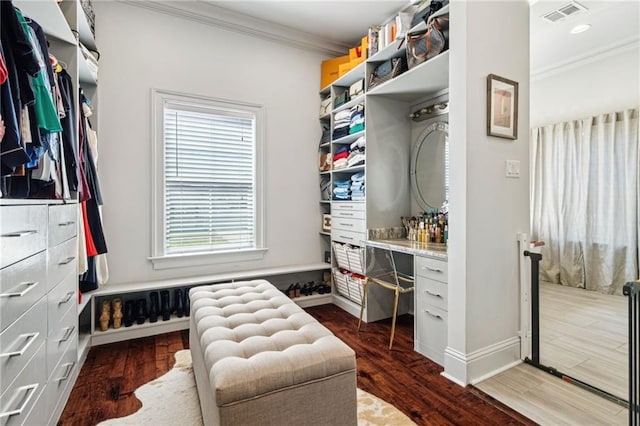 walk in closet featuring visible vents, built in desk, and dark wood-style flooring