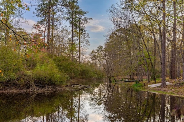 property view of water featuring a view of trees