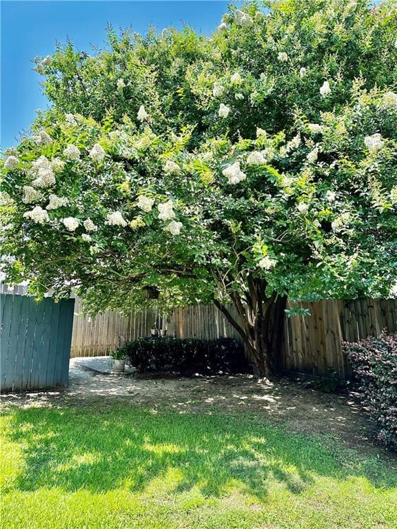 view of yard featuring fence