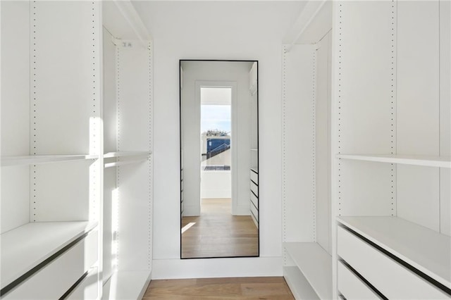 spacious closet with light wood-type flooring