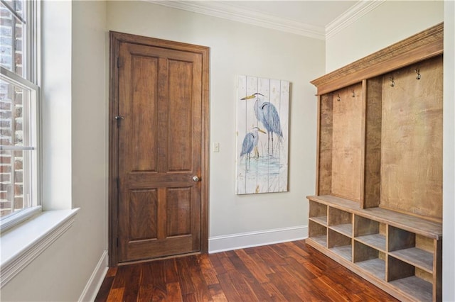 mudroom featuring baseboards, dark wood-style floors, and crown molding