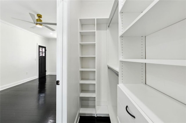 walk in closet with a ceiling fan and dark wood-style flooring