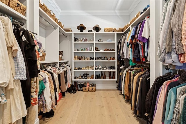 walk in closet with wood finished floors