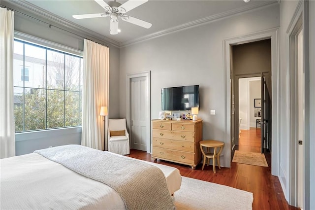 bedroom with ceiling fan, multiple windows, dark wood finished floors, and ornamental molding