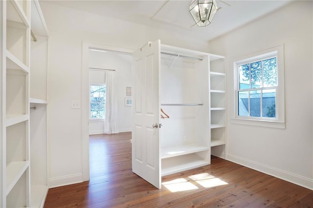 spacious closet with hardwood / wood-style floors