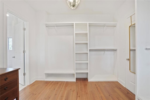 spacious closet featuring light wood-style floors