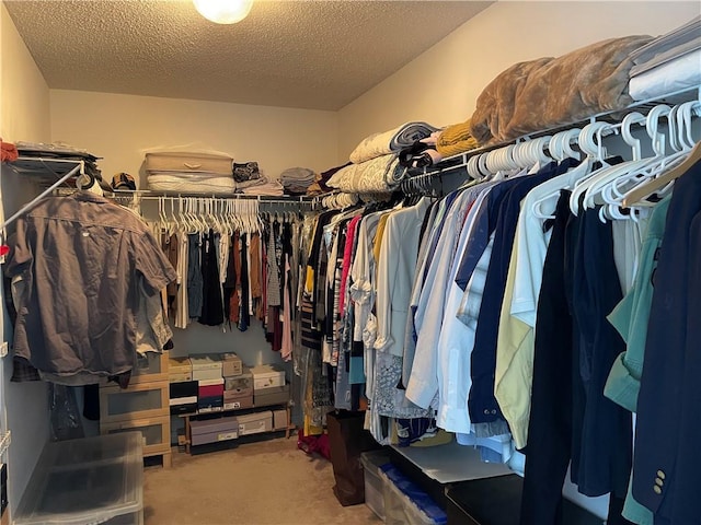 spacious closet with carpet floors