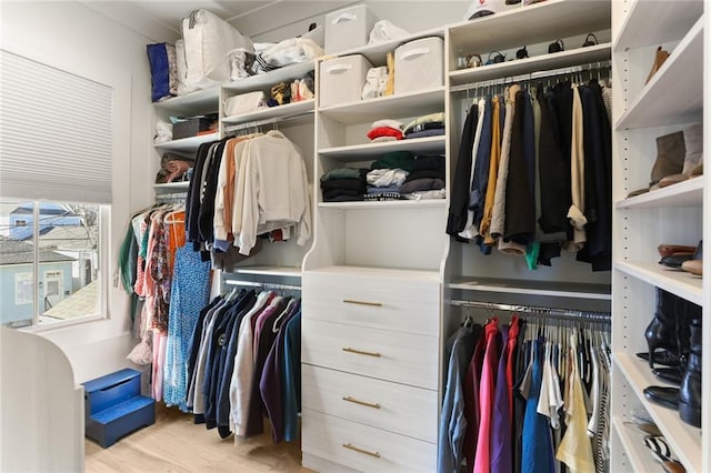 walk in closet with light wood-style flooring