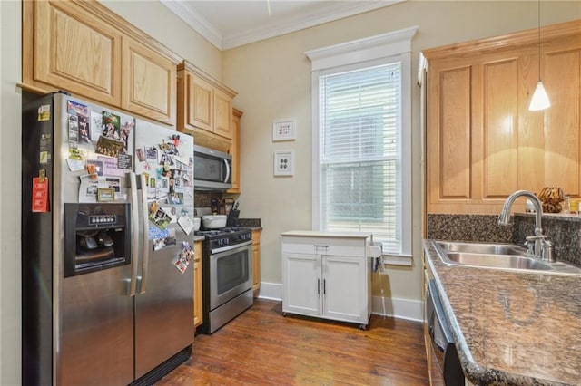 kitchen with dark wood-type flooring, ornamental molding, a sink, appliances with stainless steel finishes, and baseboards