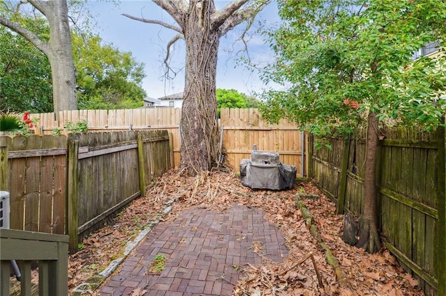 view of yard featuring a patio and a fenced backyard