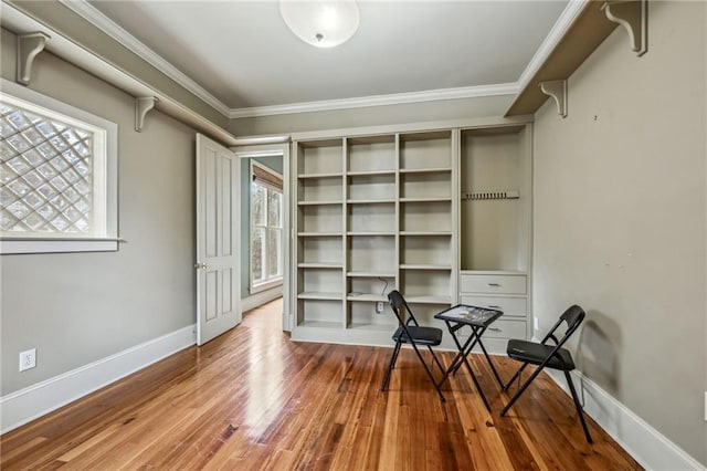 interior space featuring baseboards, wood-type flooring, and crown molding