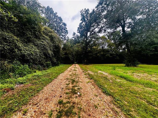 PARCEL6 16th Hwy, Franklinton LA, 70438 land for sale