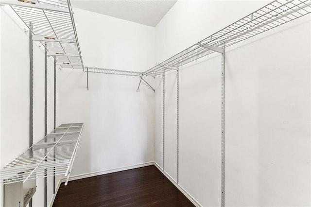 walk in closet featuring wood finished floors