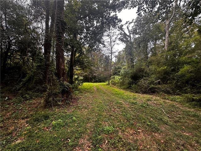 PARCEL8 16th Hwy, Franklinton, LA 70438 - photo 2