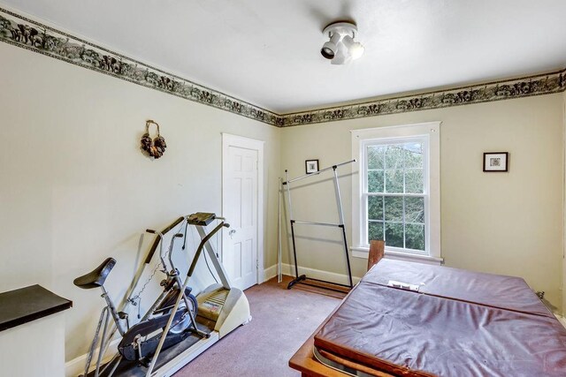 bedroom featuring baseboards and carpet