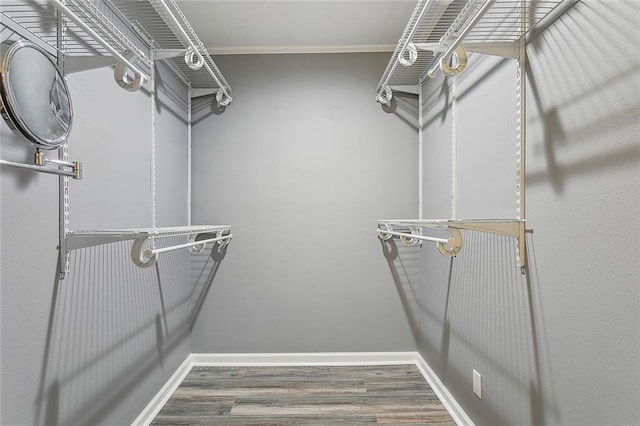 spacious closet featuring wood finished floors