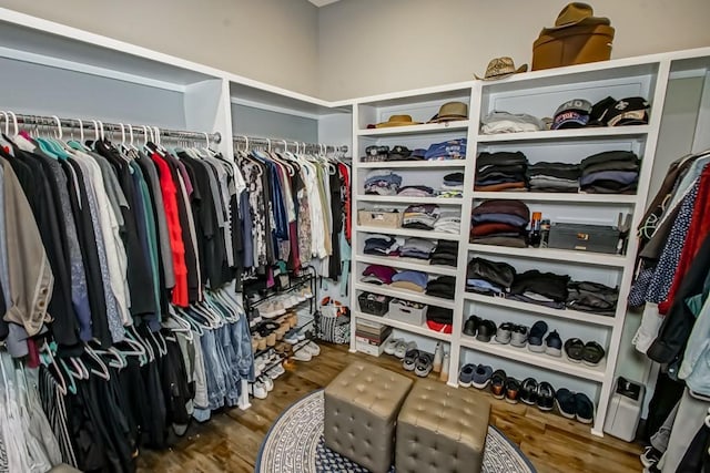 spacious closet featuring wood finished floors