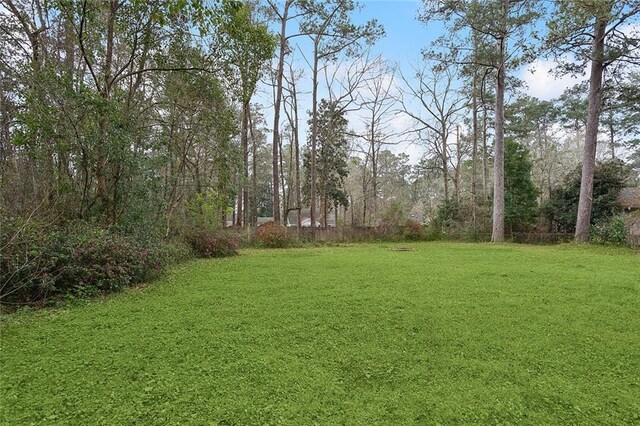 72462 Wilkinson St, Covington, LA 70435 - view of yard