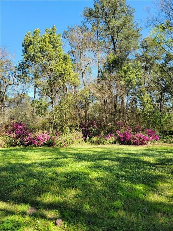 72462 Wilkinson St, Covington, LA 70435 - view of yard