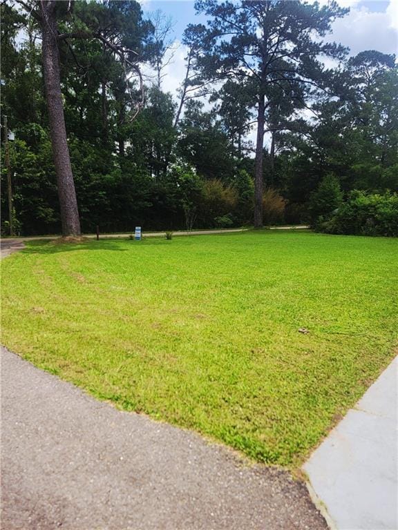 72462 Wilkinson St, Covington, LA 70435 - view of grassy yard