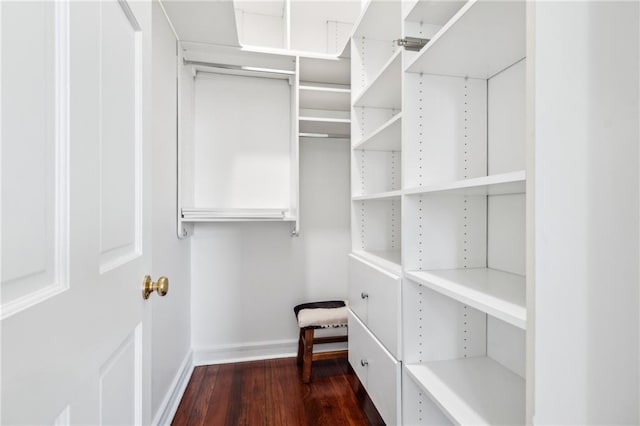 spacious closet featuring dark wood-style floors