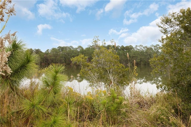 water view with a forest view