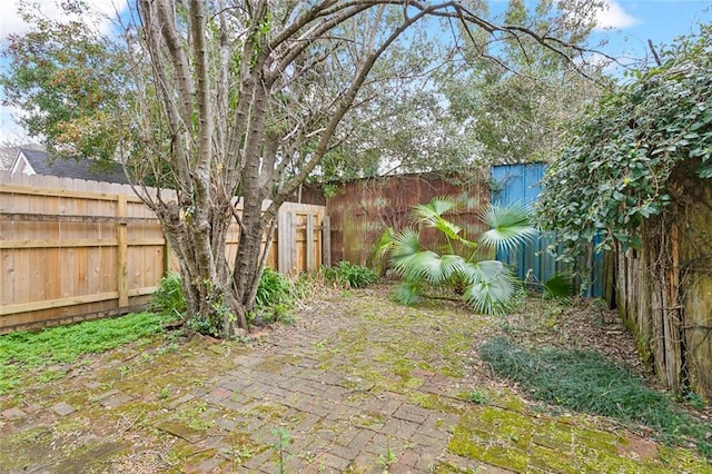 view of yard with a fenced backyard