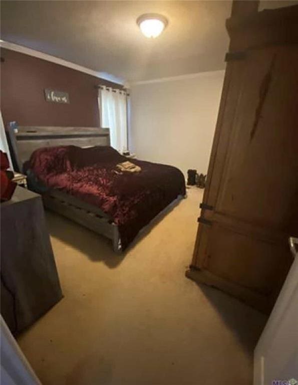 bedroom with crown molding and carpet