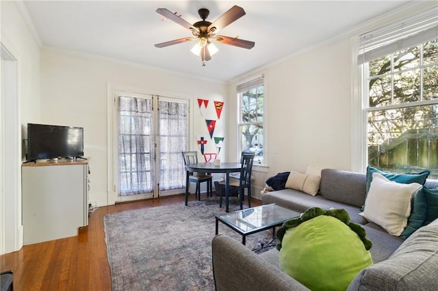 living room with a ceiling fan, wood finished floors, and ornamental molding