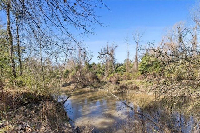 property view of water with a forest view