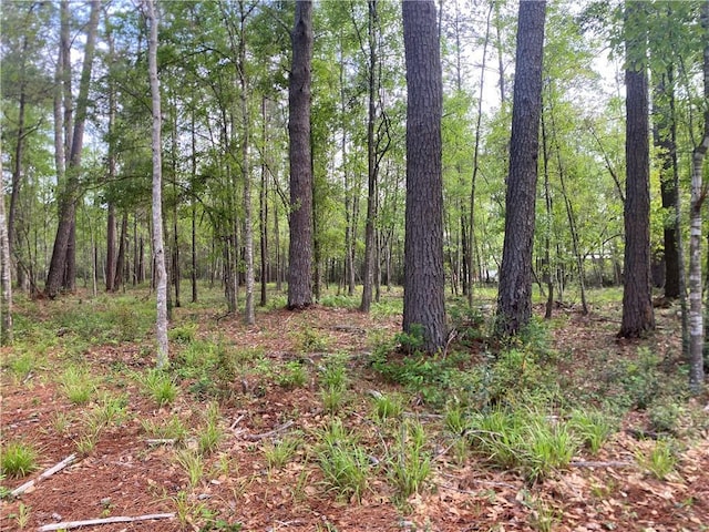 38065 Fricke Rd, Slidell, LA 70460