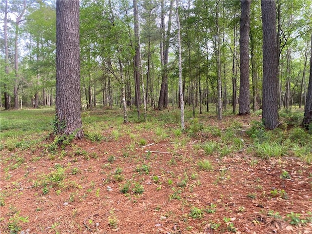 38065 Fricke Rd, Slidell, LA 70460