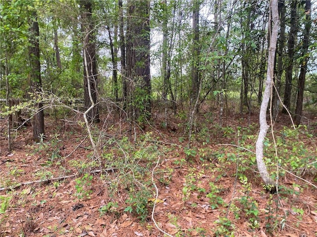 38065 Fricke Rd, Slidell, LA 70460