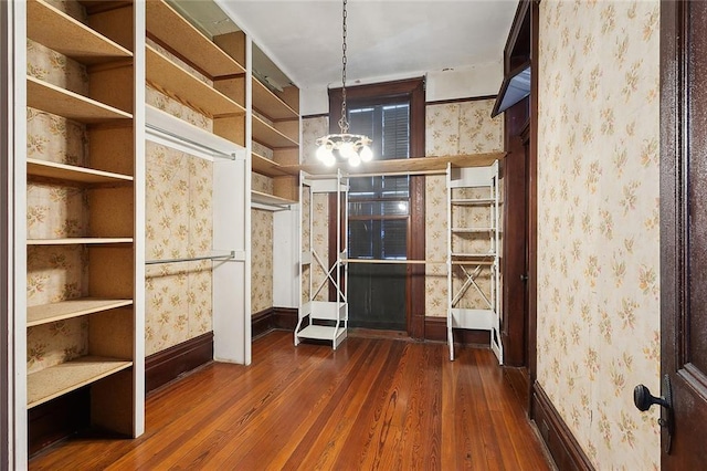 walk in closet with a notable chandelier and hardwood / wood-style flooring