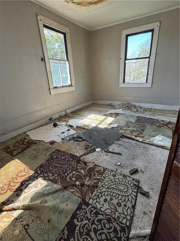 spare room with crown molding and plenty of natural light