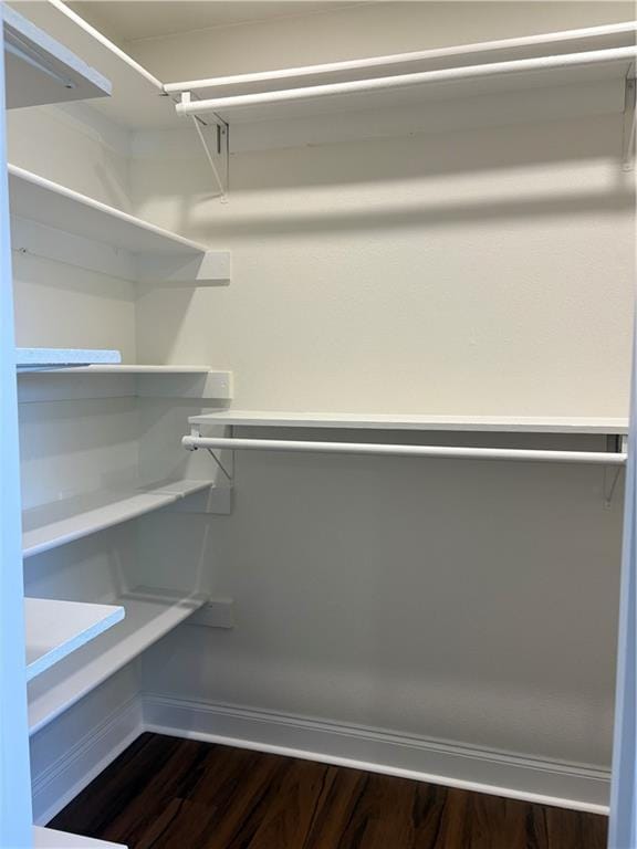 walk in closet featuring dark wood-style flooring