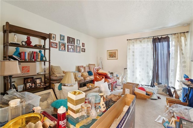 interior space featuring a textured ceiling and carpet floors