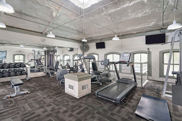 workout area with carpet floors