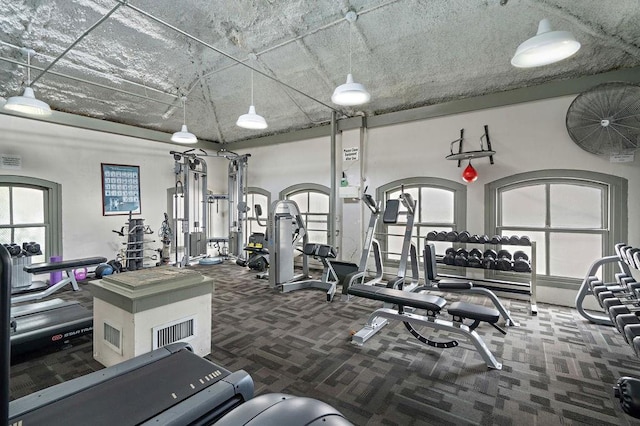 exercise room featuring plenty of natural light, visible vents, and carpet floors