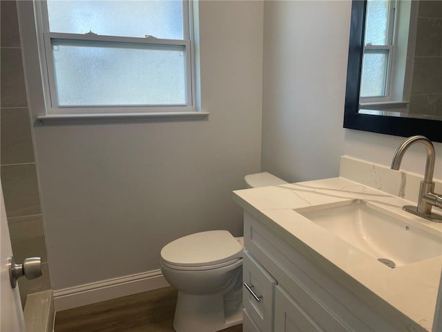 bathroom with toilet, vanity, baseboards, and wood finished floors