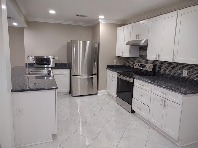 kitchen with crown molding, under cabinet range hood, decorative backsplash, stainless steel appliances, and a sink