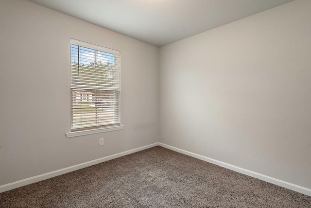 spare room with carpet flooring, baseboards, and plenty of natural light