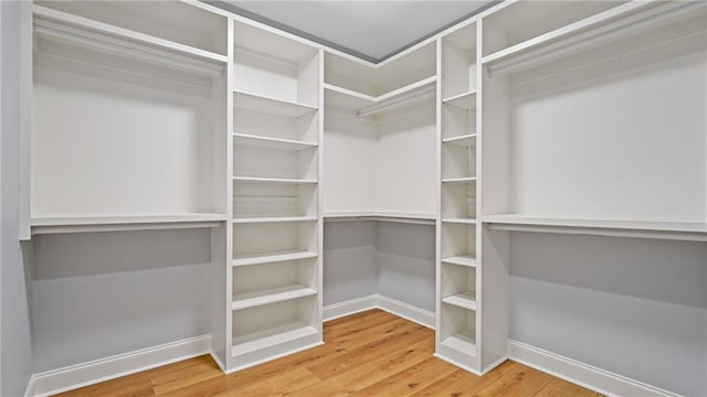 walk in closet with wood finished floors